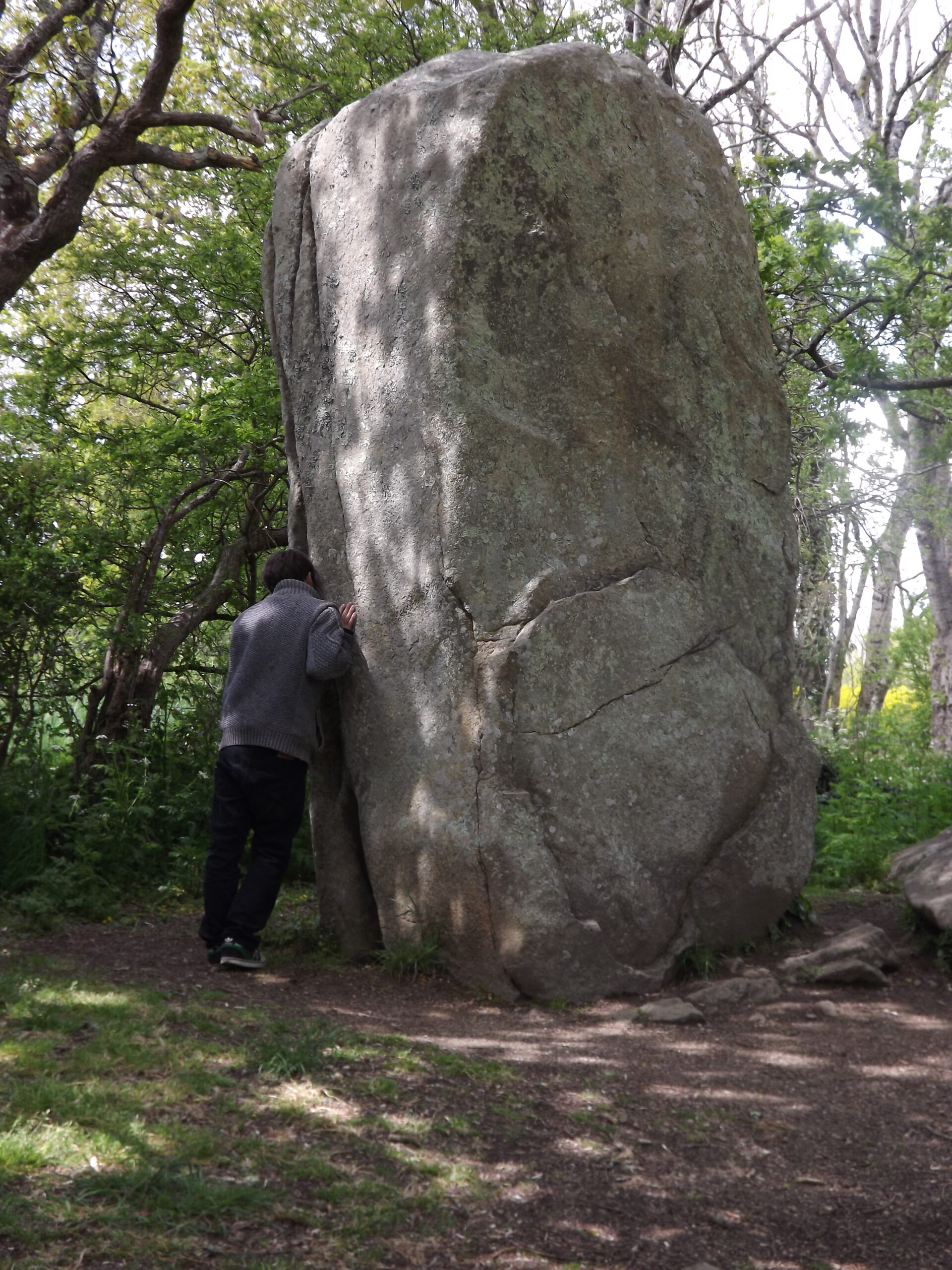 Extraordinary Bodies, Invisible Worlds Author: Yael Dansac