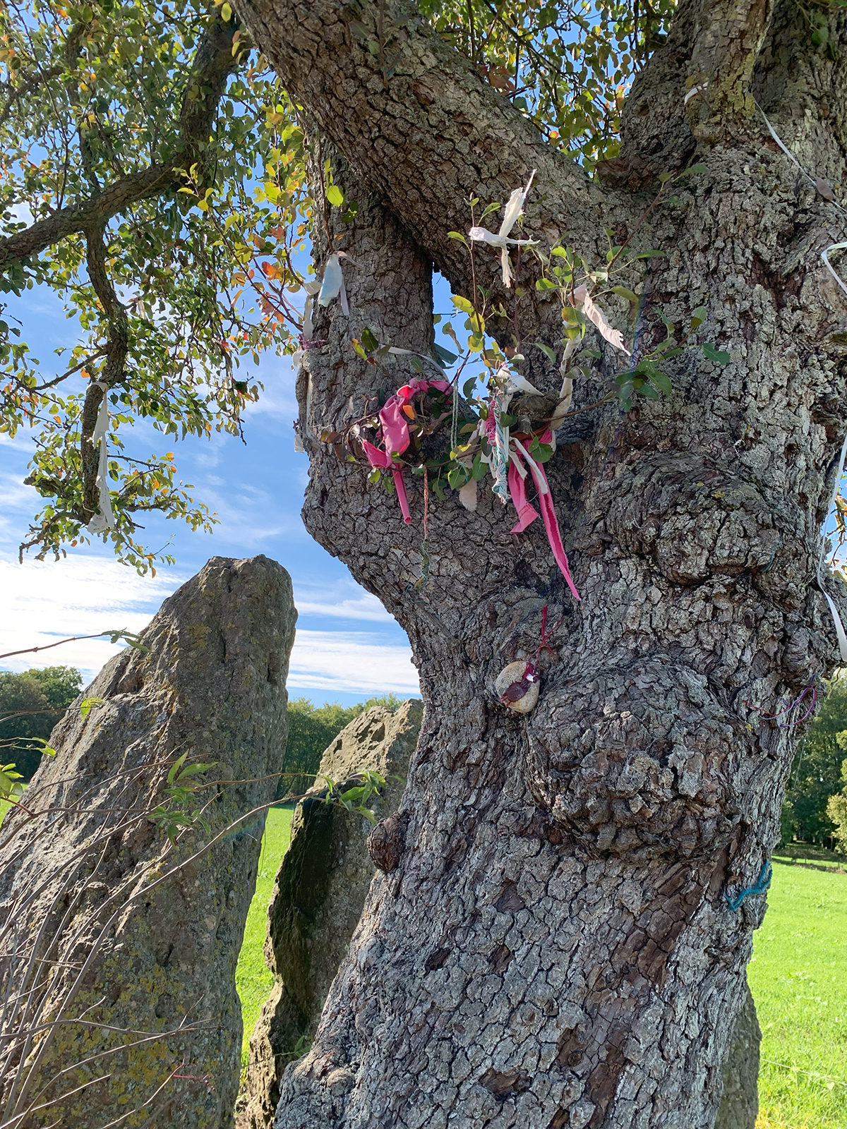 Interreligious Offerings for Coping with the Pandemic in Wéris