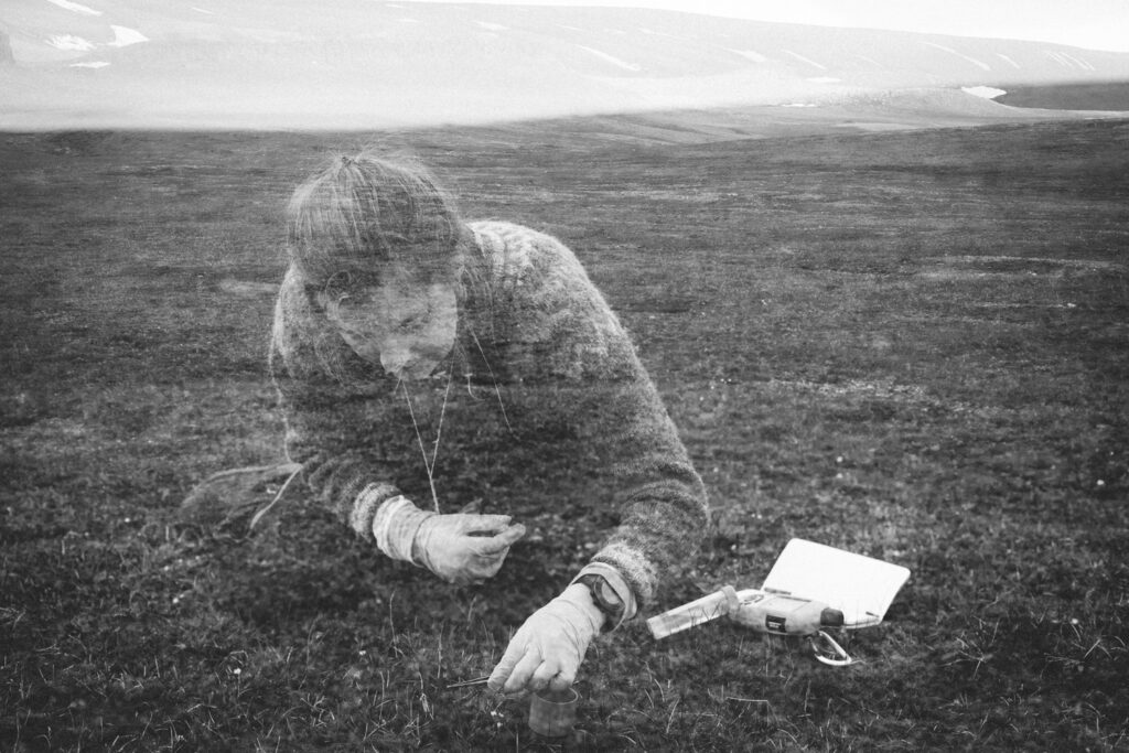 foto: Dagmara Wojtanowicz, SEES 2022