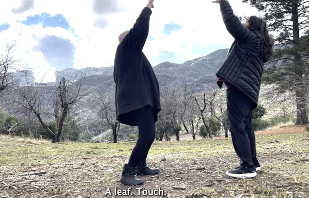 Two white queer women, Denise Leto and Petra Kuppers, arms reaching to the sky, in front of a Northern California landscape, including a thermal electricity generation plant, with the words ‘a leaf/touch’ in the captions. Two white queer women, Denise Leto and Petra Kuppers, arms reaching to the sky, in front of a Northern California landscape, including a thermal electricity generation plant, with the words ‘a leaf/touch’ in the captions.